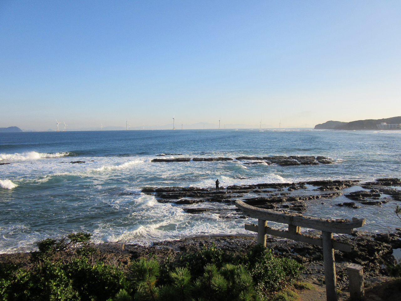 �����E�k��B�̎��R�C�݂�����l�C�`���[�E�H�[�N