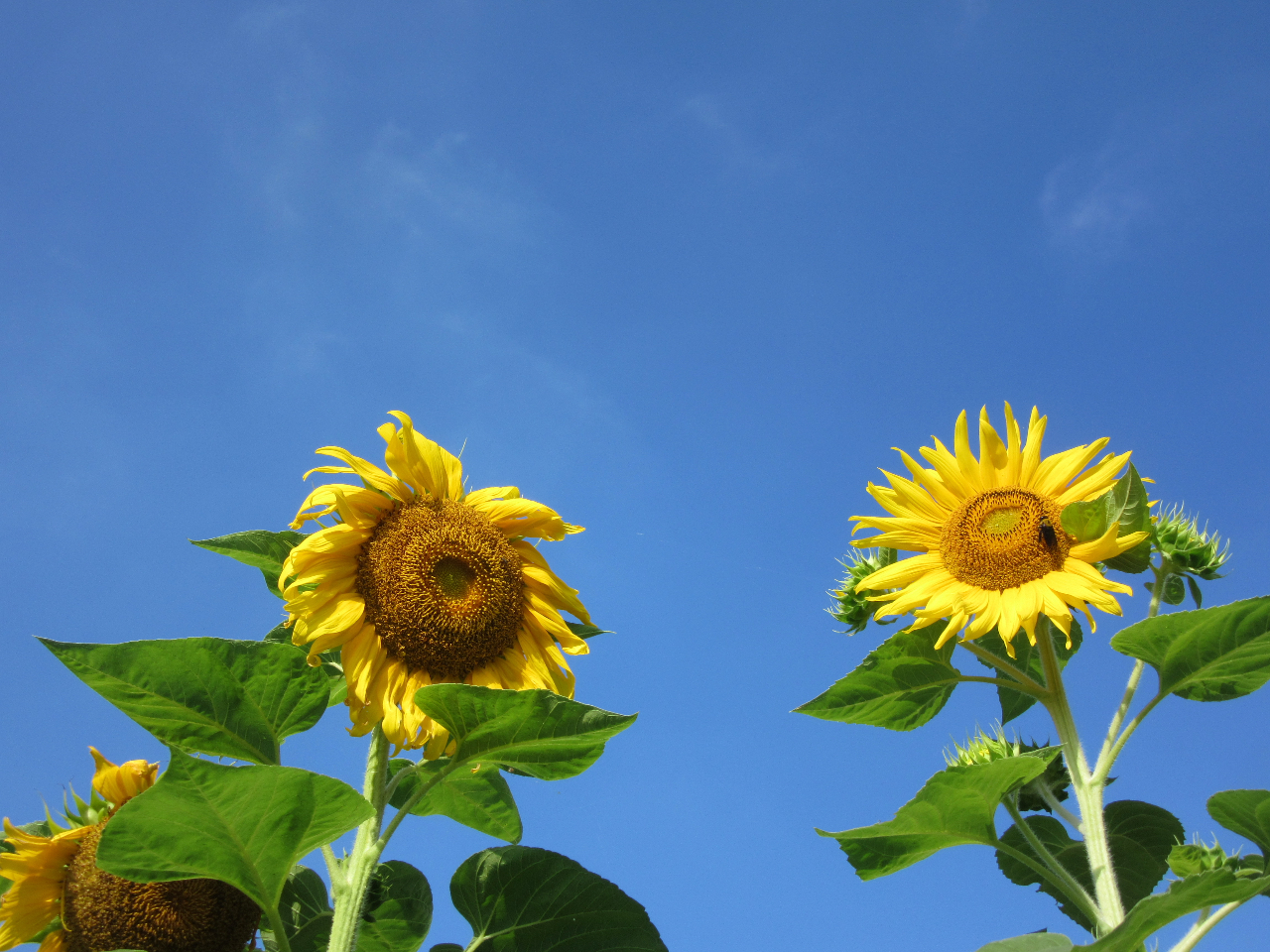 �k��B�̎s�Ԃ̌������B��ɉf���܂��B