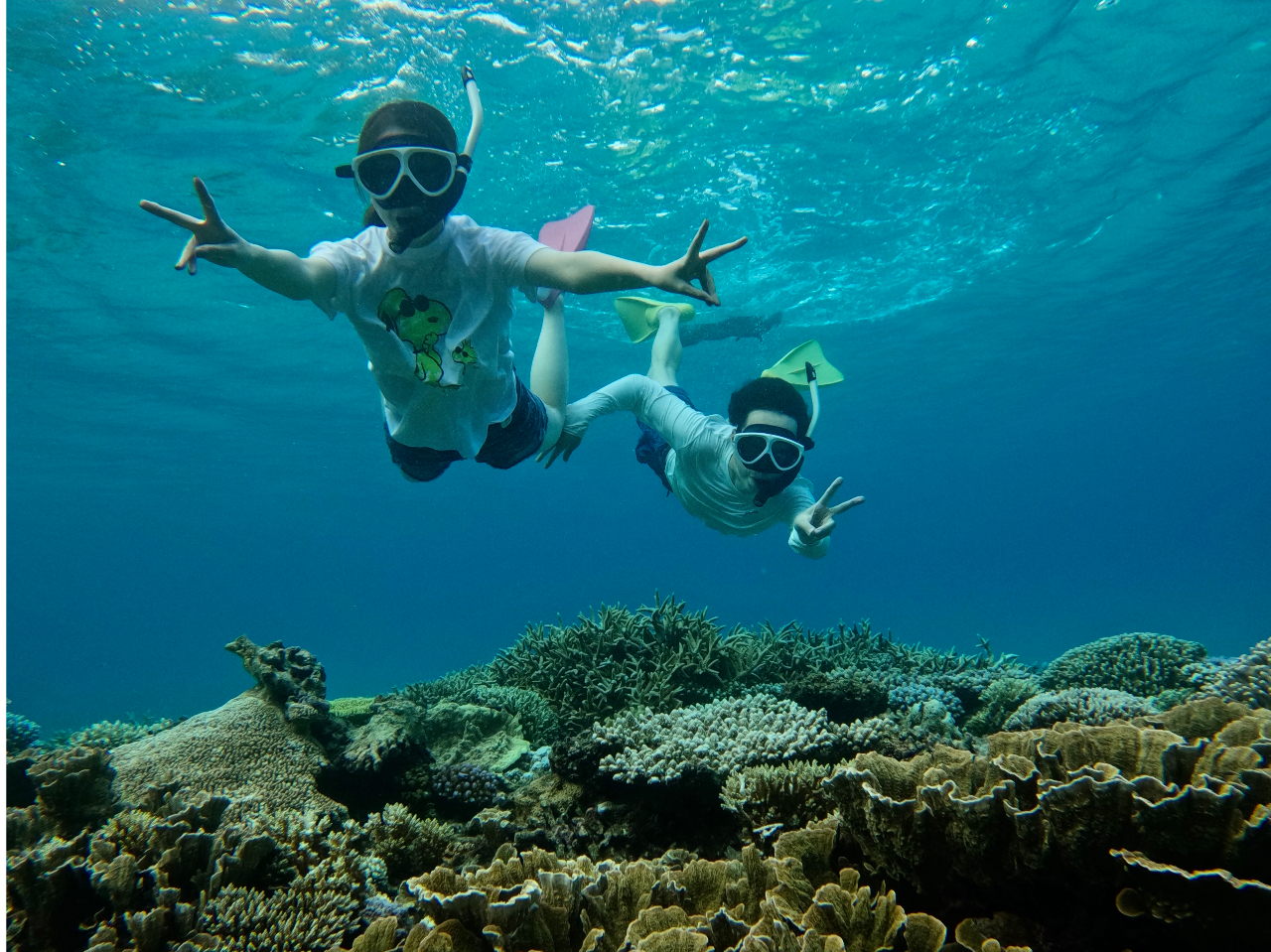 加計呂麻島の珊瑚礁