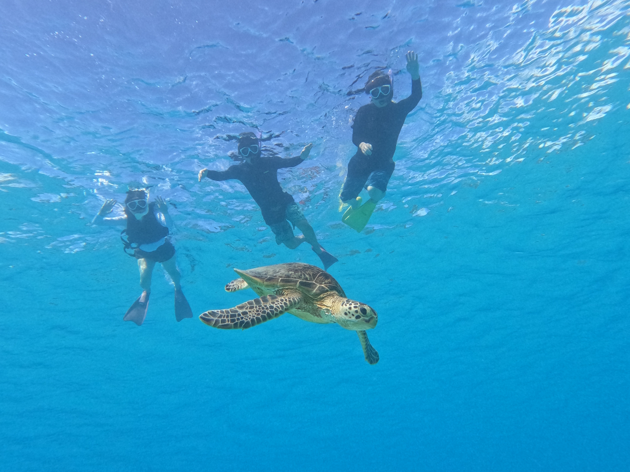 ワンランク上の贅沢体験！【奄美大島南部・加計呂麻島 チャーター