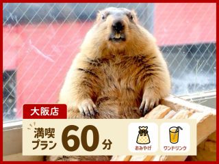 満喫プランには、オリジナルグッズのお土産とワンドリンクが付いています