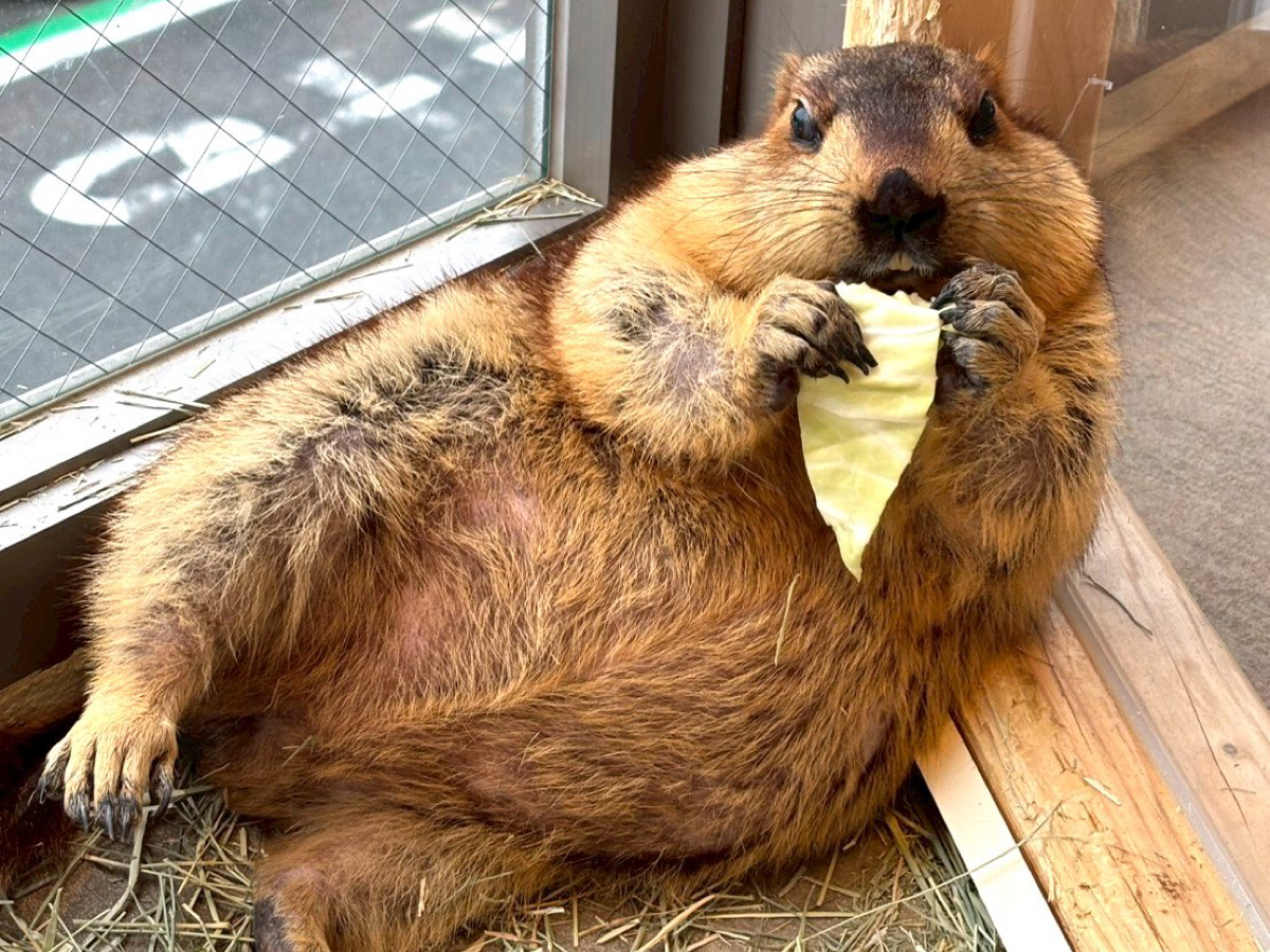 �}�[���b�g�J�t�F �}�[���b�g�� ���̎ʐ^2