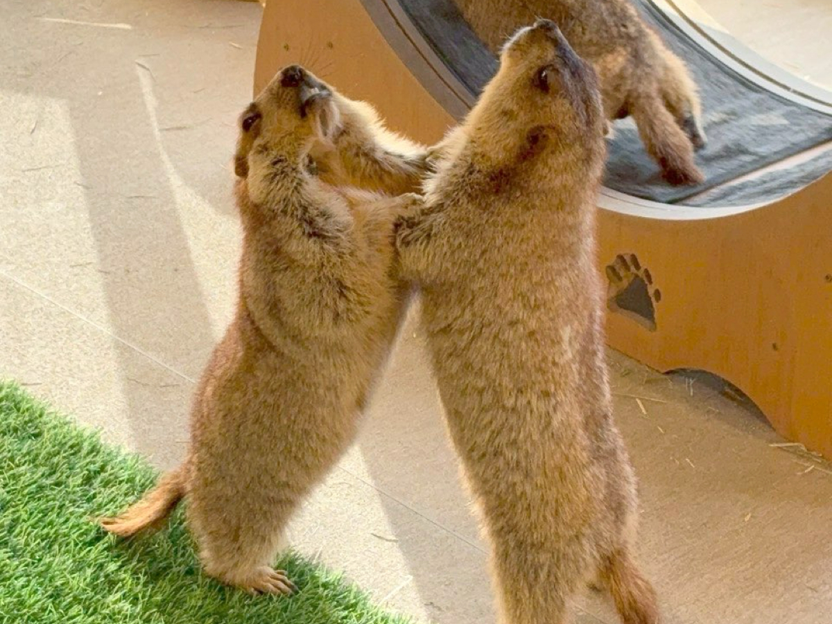 �}�[���b�g�J�t�F �}�[���b�g�� ���̎ʐ^3