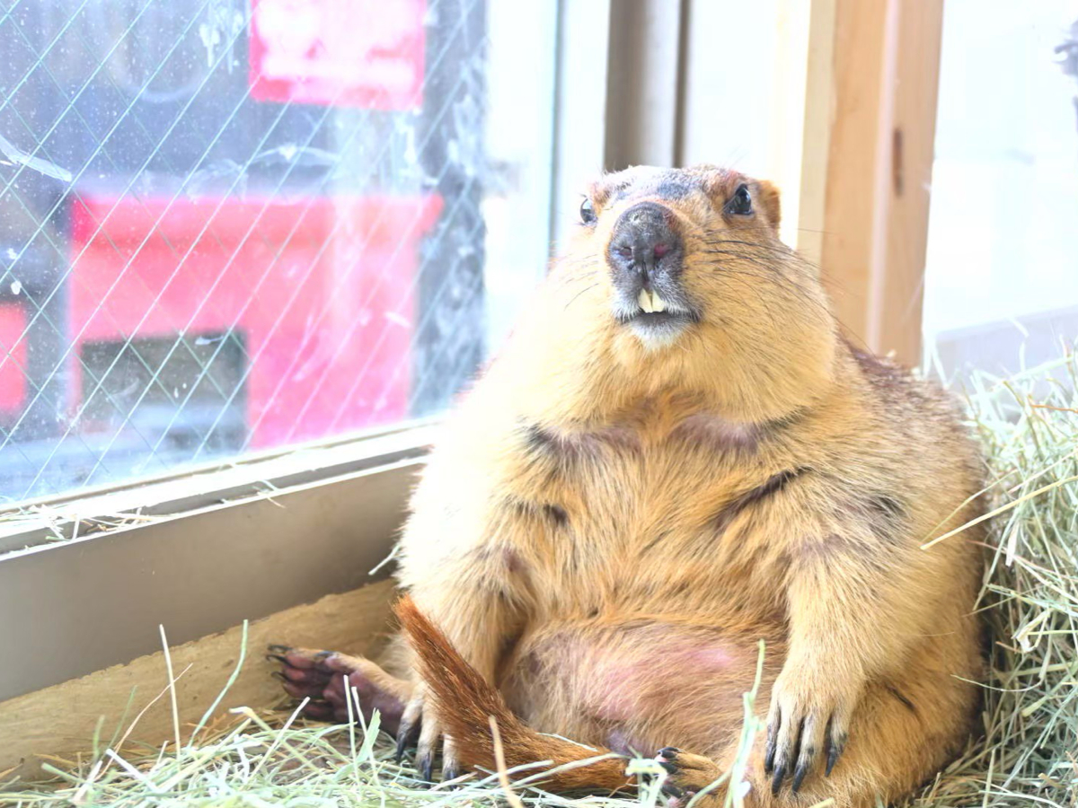 �}�[���b�g�J�t�F �}�[���b�g�� ���̎ʐ^4