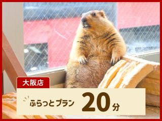 ふらっと立ち寄りたい方におすすめのプラン。60分プランについているお土産とワンドリンクは付いていません。