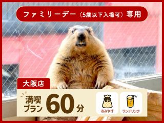 ファミリーデーでは6歳未満のお子様も入場可能!満喫プランには、オリジナルグッズのお土産とワンドリンクが付いています