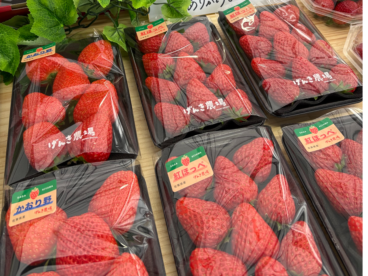 �������ł��y�Y�p�̂������E���������H�i���w�����邱�Ƃ��ł��܂��B