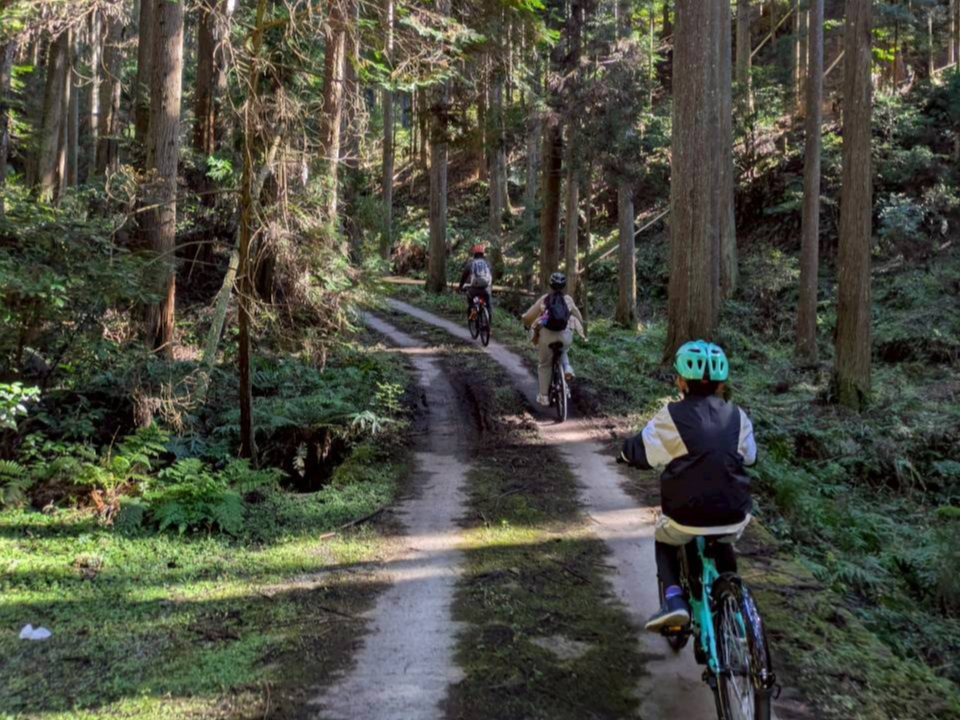 ���n�K�C�h�Ȃ�ł͂̈��S�Ŋy�������ɂ��ē����܂��B