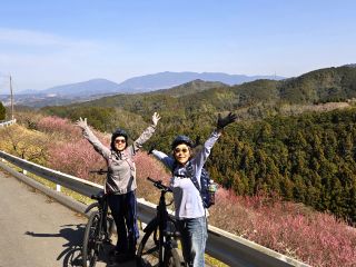 下市コースには梅や桜の名所がたくさんあります!観光客や交通量も少ないので他のコースよりもゆったりと楽しめます。