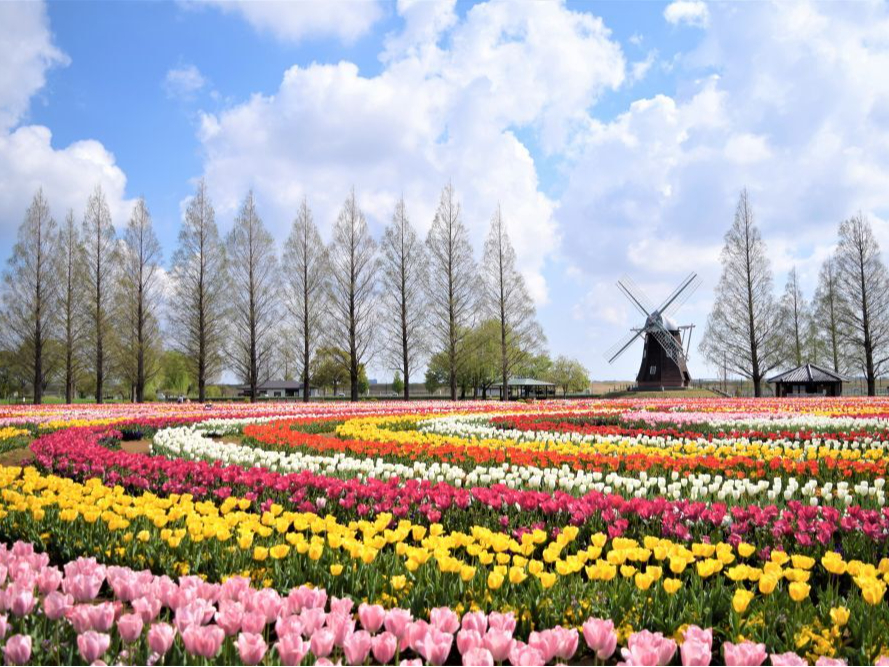 【土日祝】BBQ器材のみコース(食材持ち込み制)2026