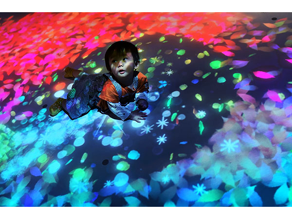 �yDISCOVERY GARDEN �z�f�W�^���������̒T���@�l�G�܁X�̔��������R�̕��i�̏���������A�W�����v�����肷��ƁA���܂��܂Ȃ������̂�����o���܂��I