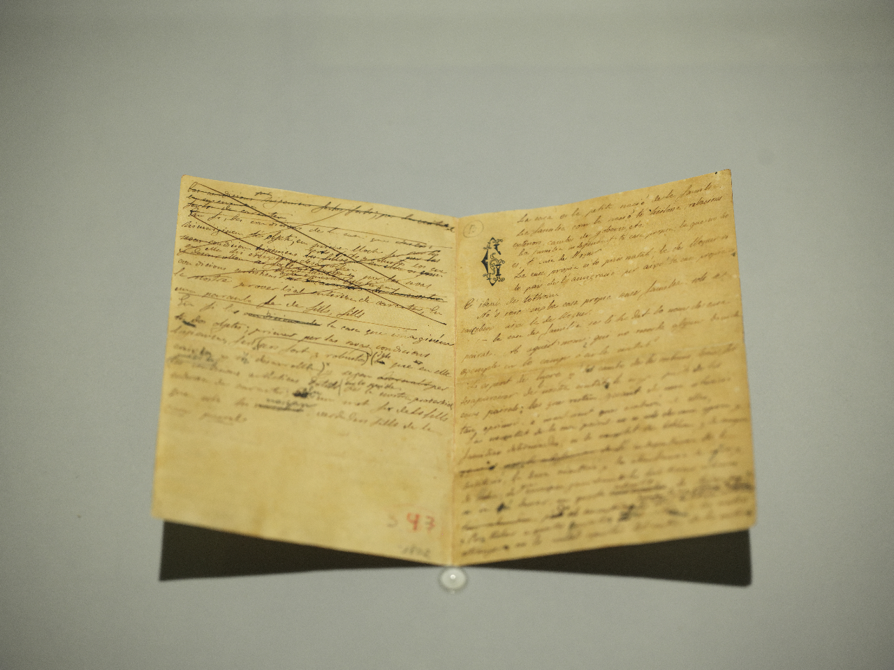 �K�E�f�B�v��100�N�������� NAKED meets �K�E�f�B�W�y���z�̎ʐ^2