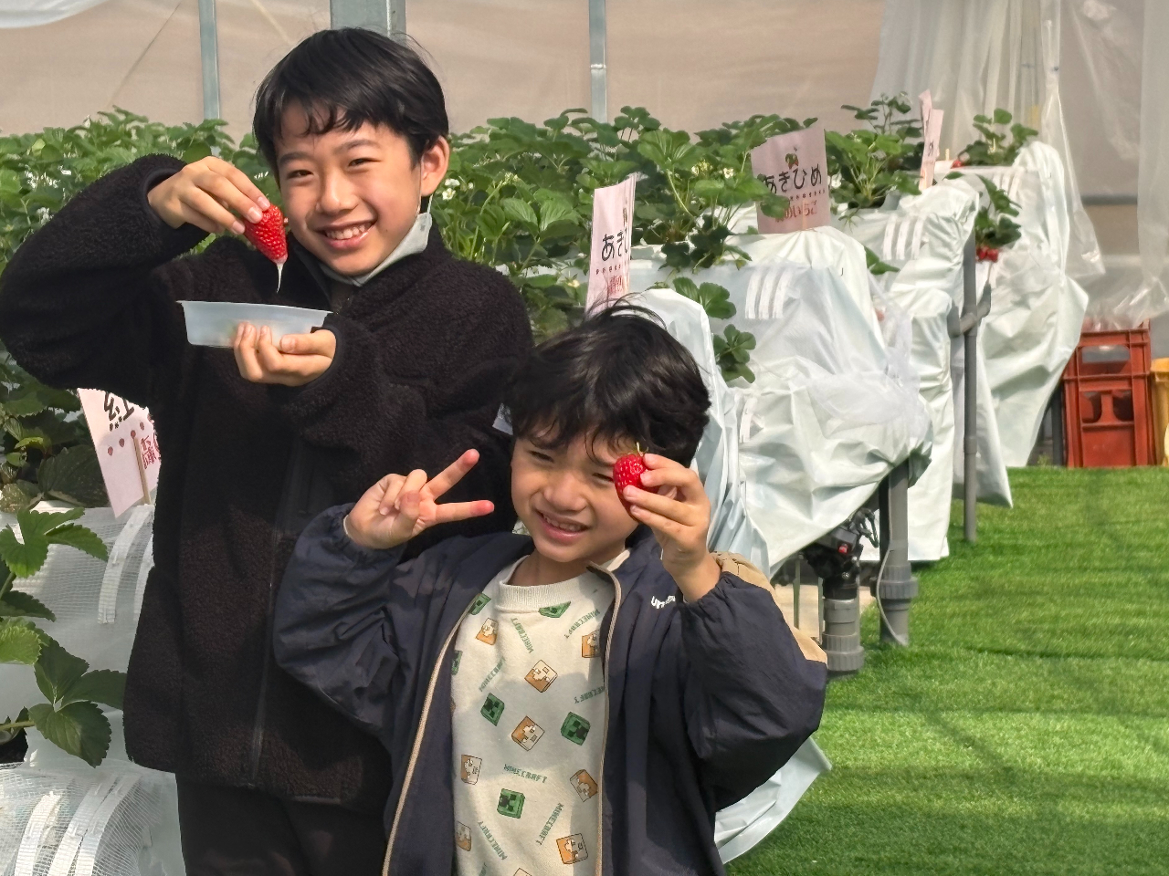 �������g������ōK��