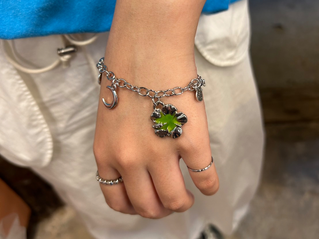 �����s�ό��_���̎ʐ^3