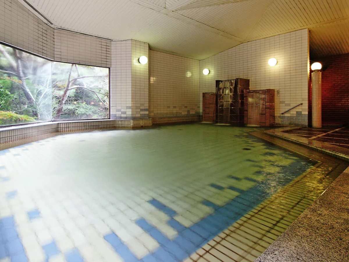 �_�A���J�����P������̂����͂��̔����̓��^