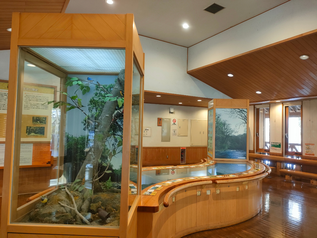 �_�΃P�ˋx�e���^