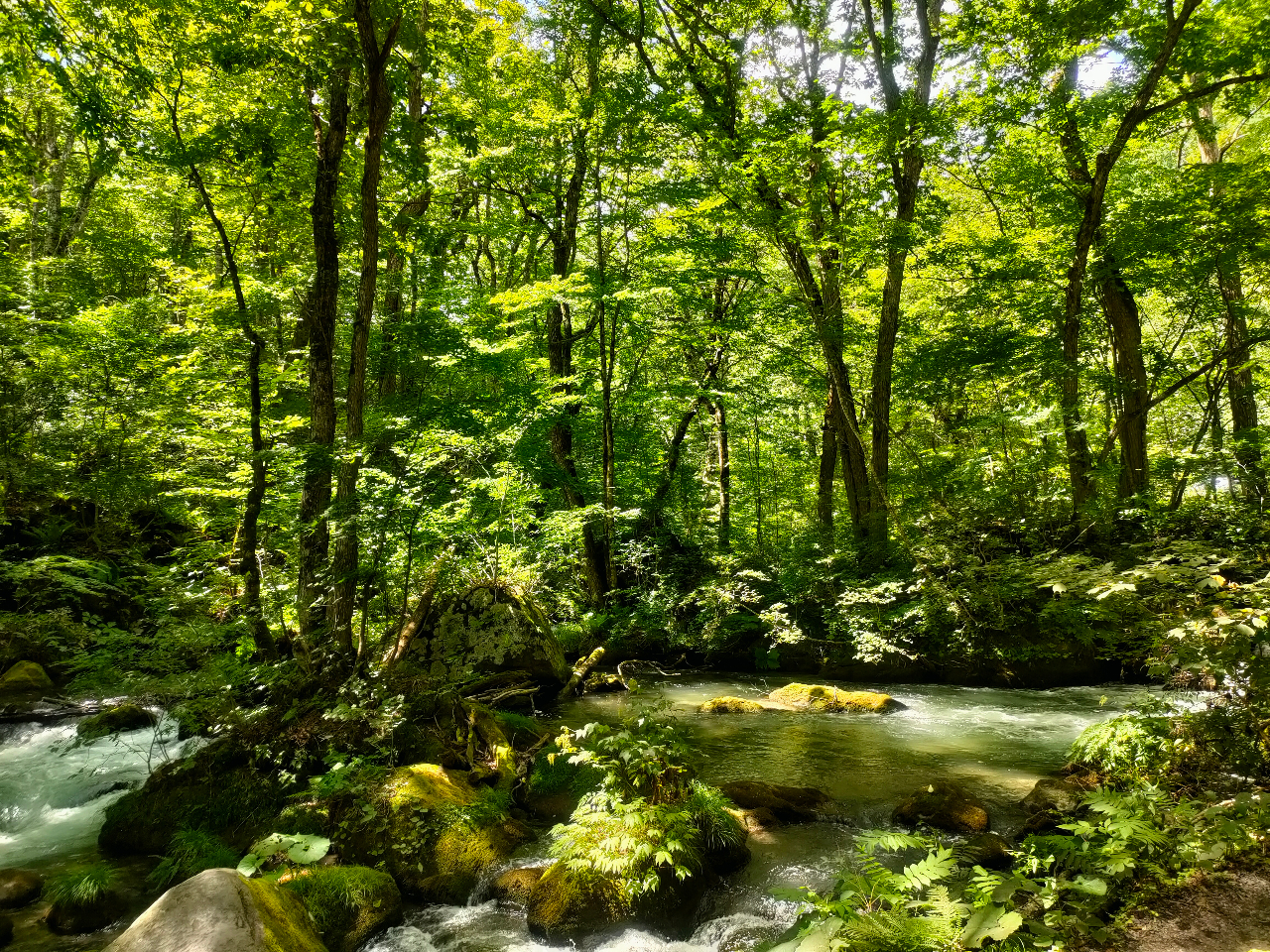 【青森市発着・奥入瀬渓流】\女性限定/【ひとり旅×風の杜初回利用専用】青森の自然...