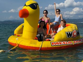 海上に巨大アヒル出現☆メガダッキー☆(^^♪