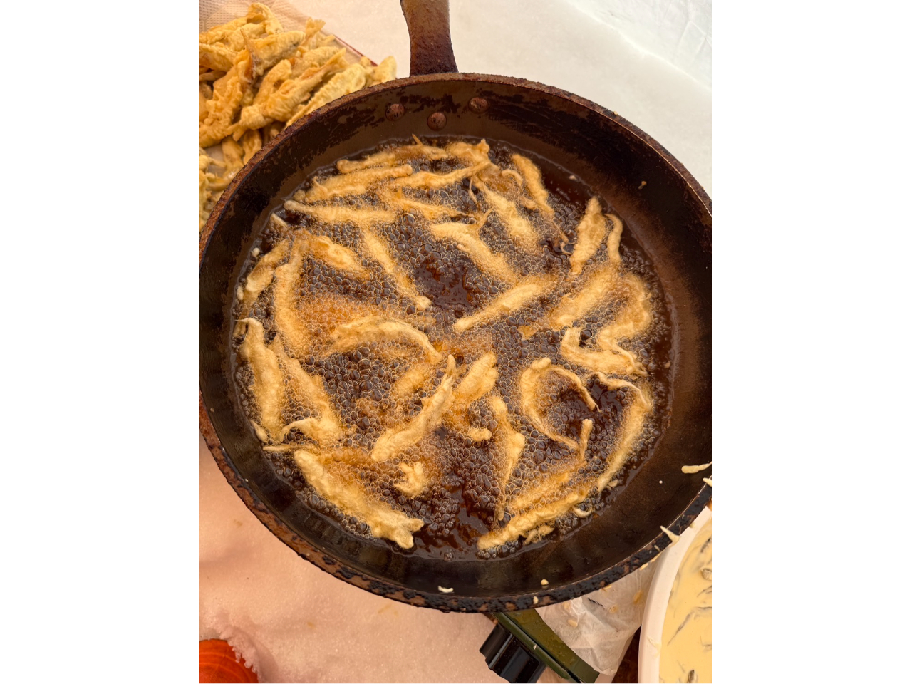 �������SEA TRY�̎ʐ^2