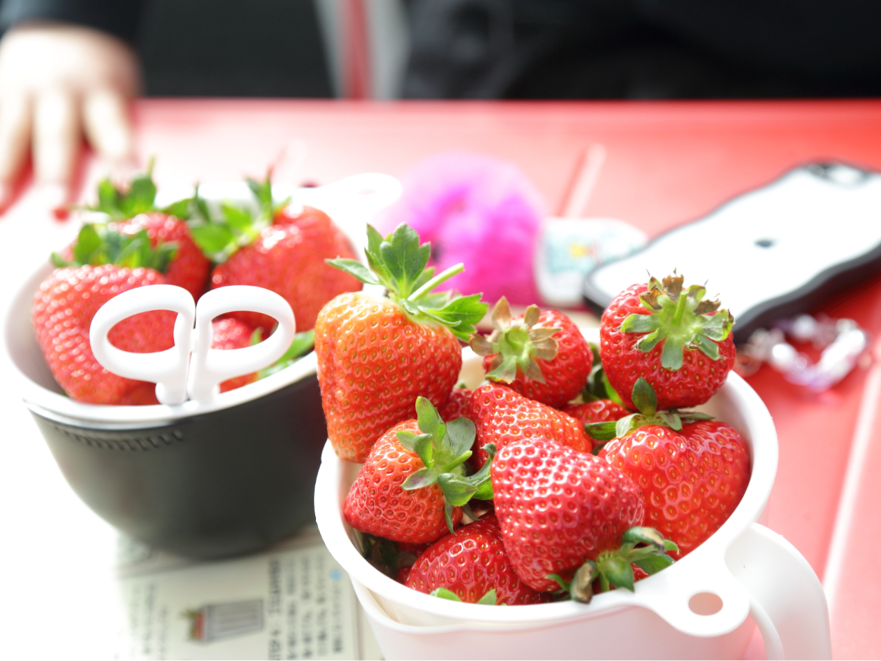 �g�b�s���O�Ɏg���C�`�S�͐�p�̗e��Ɏ��n���悤��