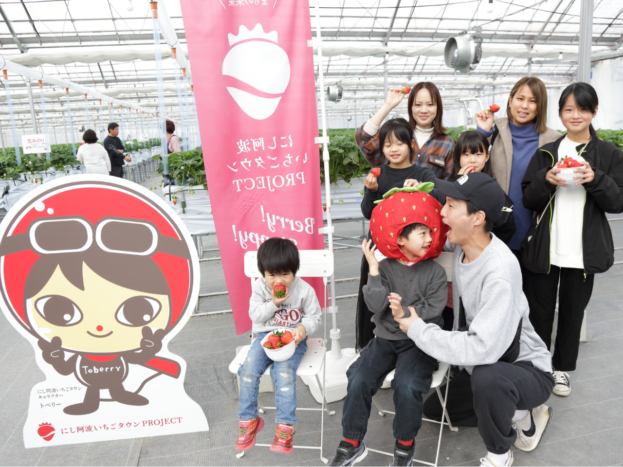 【徳島 西部 いちご狩り】2026年2月オープン!トッピング無料!\いちご狩り4...