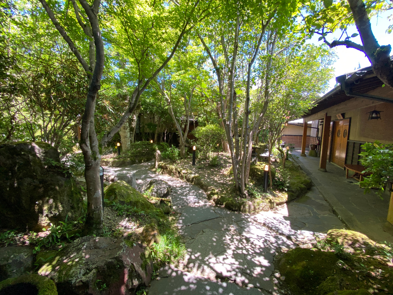 �����ق̒뉀�ł�