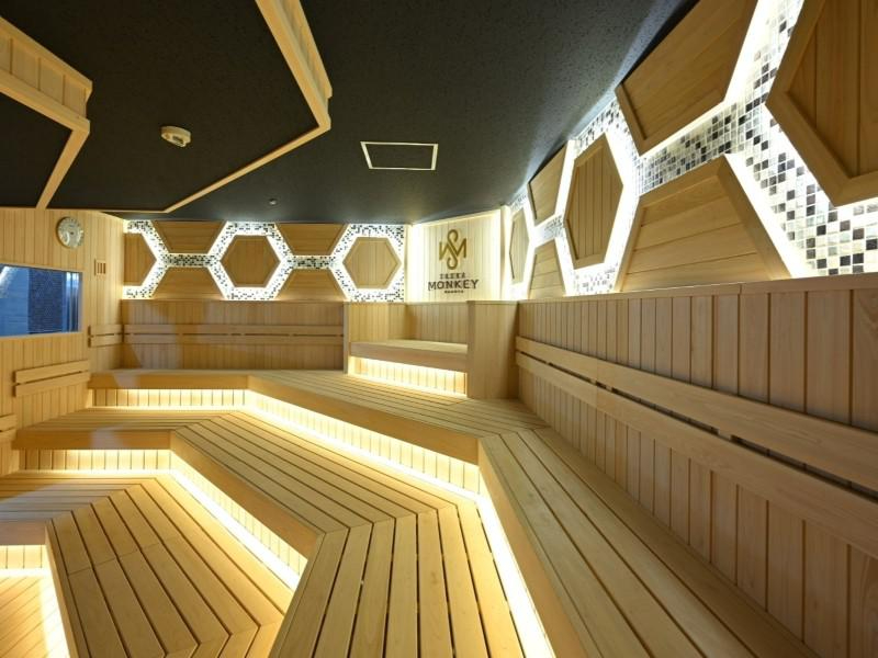 Mountain�i���C���T�E�i�j