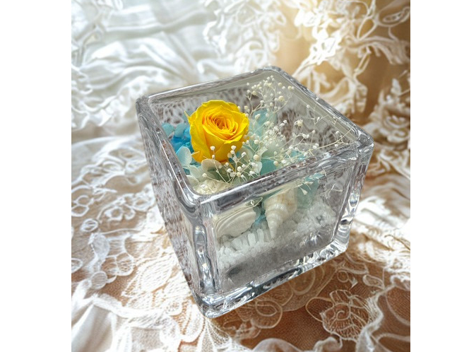 ���l�ɍ~�蒍���������̂悤�ȁu���邢�C�G���[�v�����C���ɁA�������X���̂��鍻�̏�ɁA�����ȊL�k������������A�����W�̃T���v���ł�