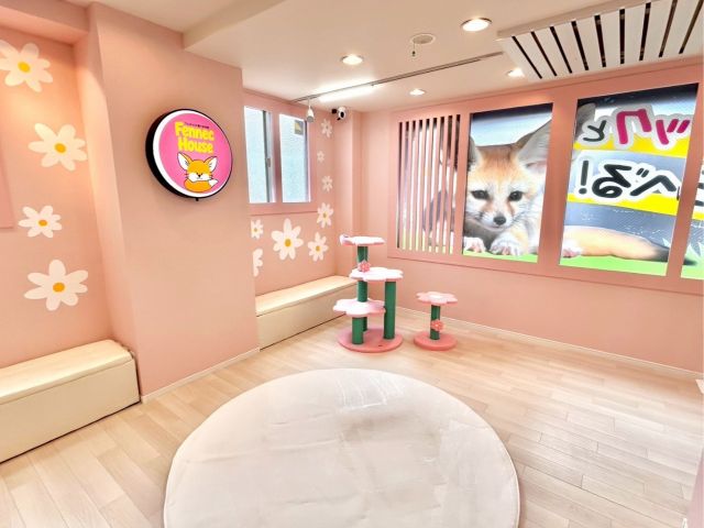 Fennec House 新大久保店