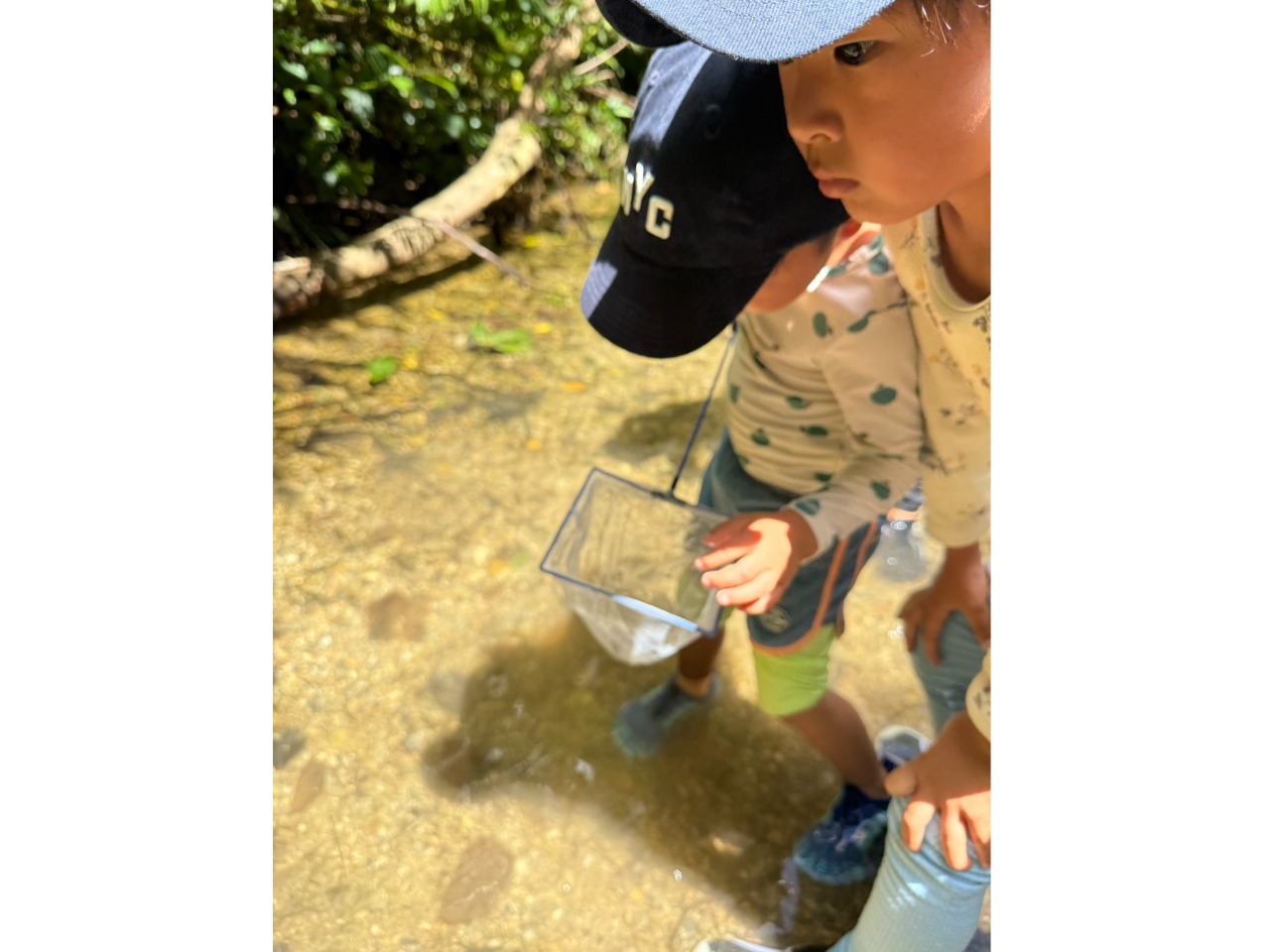 ���≫��̒��������������ώ@�ł��܂���