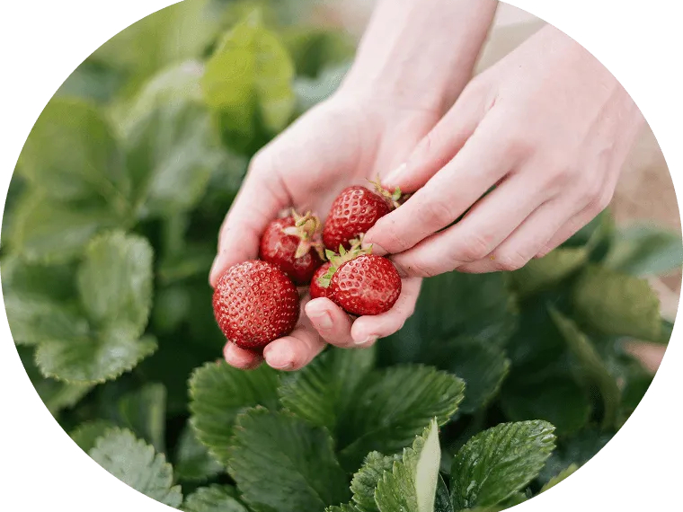 ���o�|���̂��łɎ�Ԃ�ŋC�y�ɁI