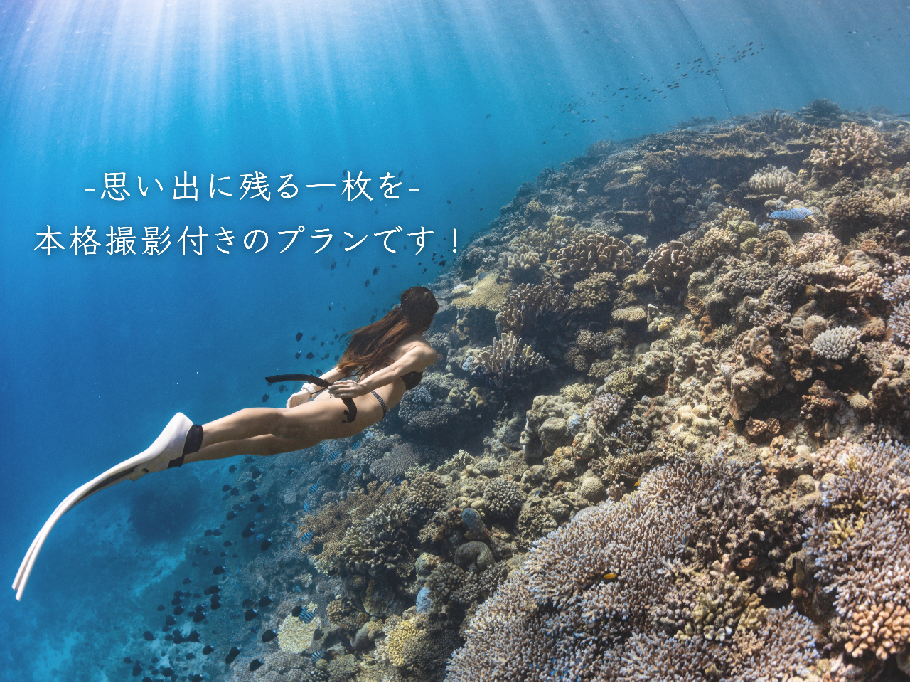 DIVE HOUSE ���̎ʐ^2