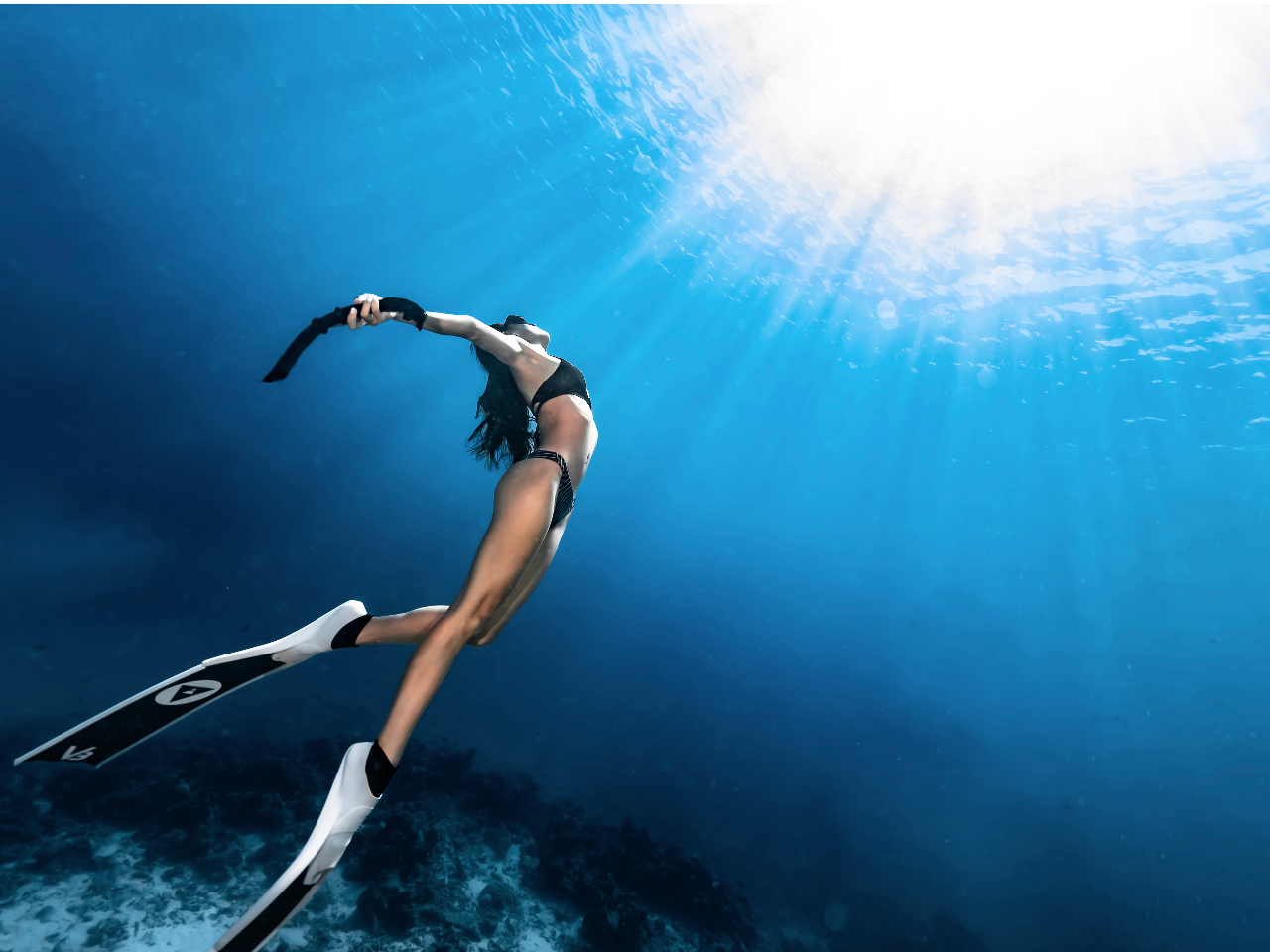 DIVE HOUSE ���̎ʐ^1