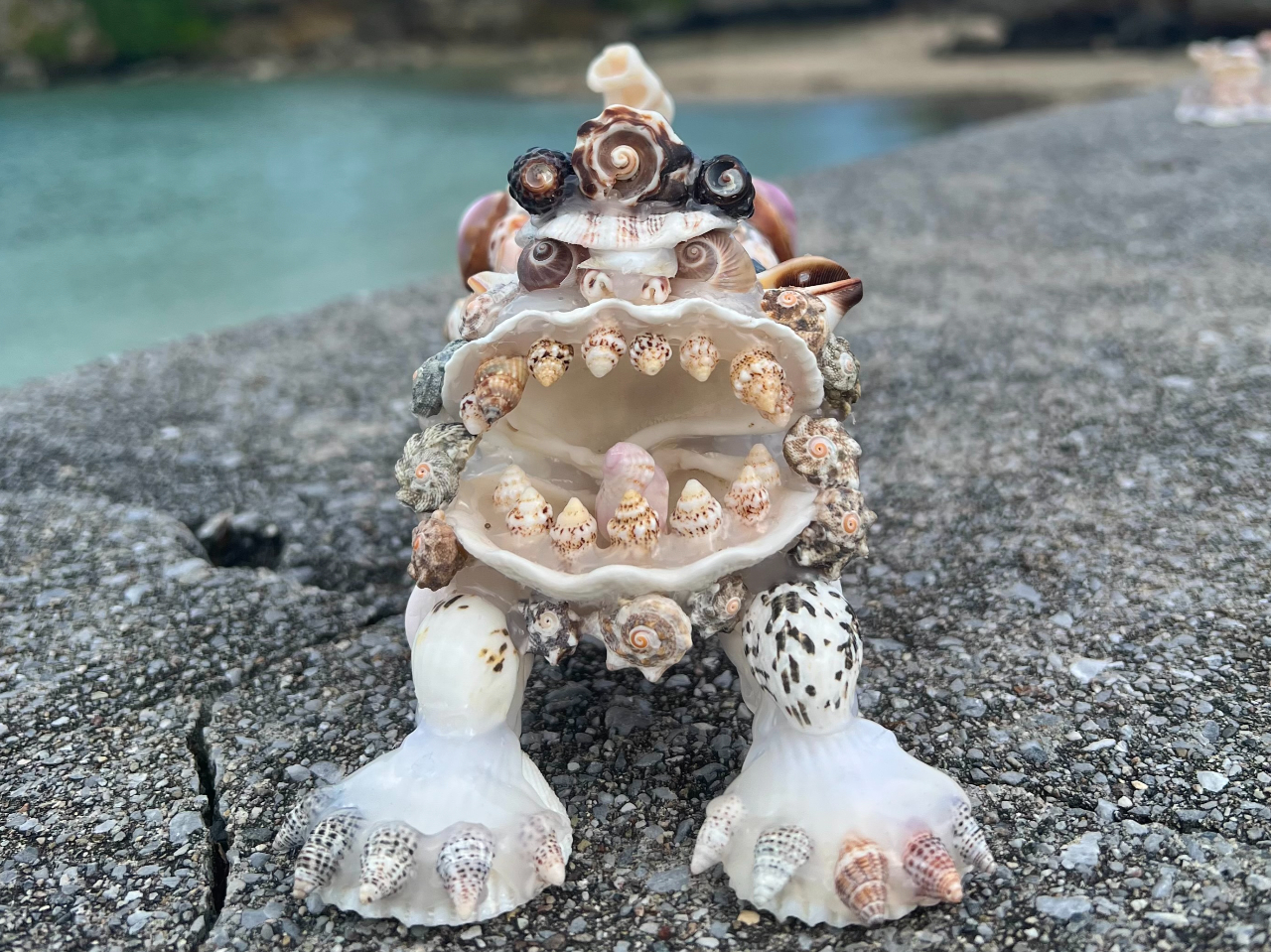 今だけ！700円OFF｜神の島・浜比嘉島｜40分～当日持ち帰りOK 貝殻