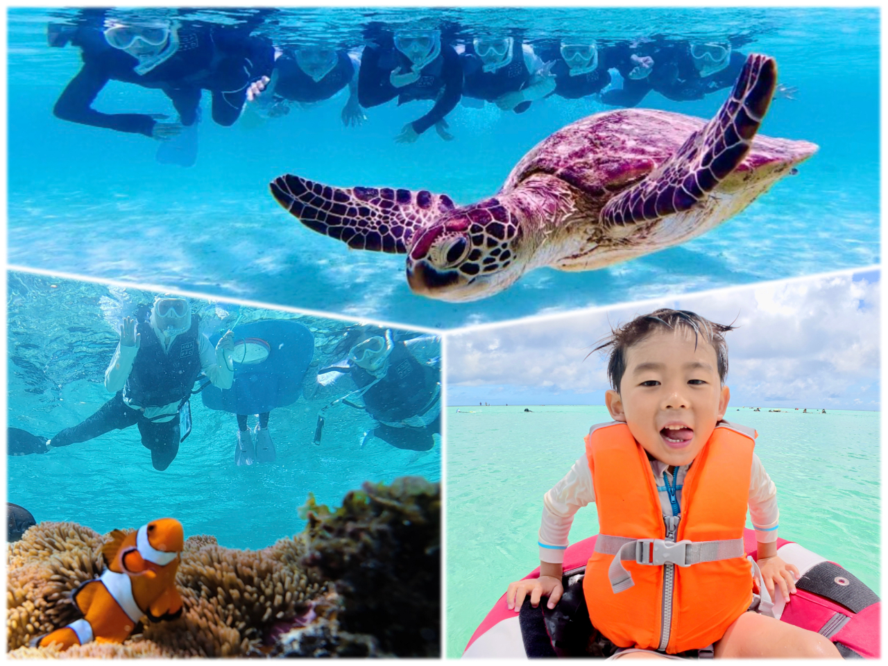 かっこよいツートーンカラー蝕像アクアマリンG/2個セット/オマケ付き 宮古島｜クリアカヤック＆ウミガメシュノーケル】完全貸切3時間