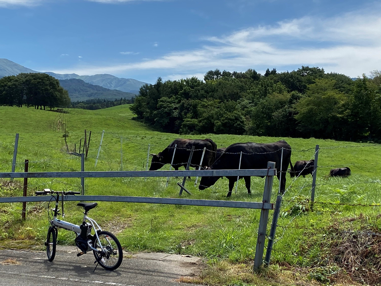 �߉��A�N�e�B�r�e�B�̎ʐ^4