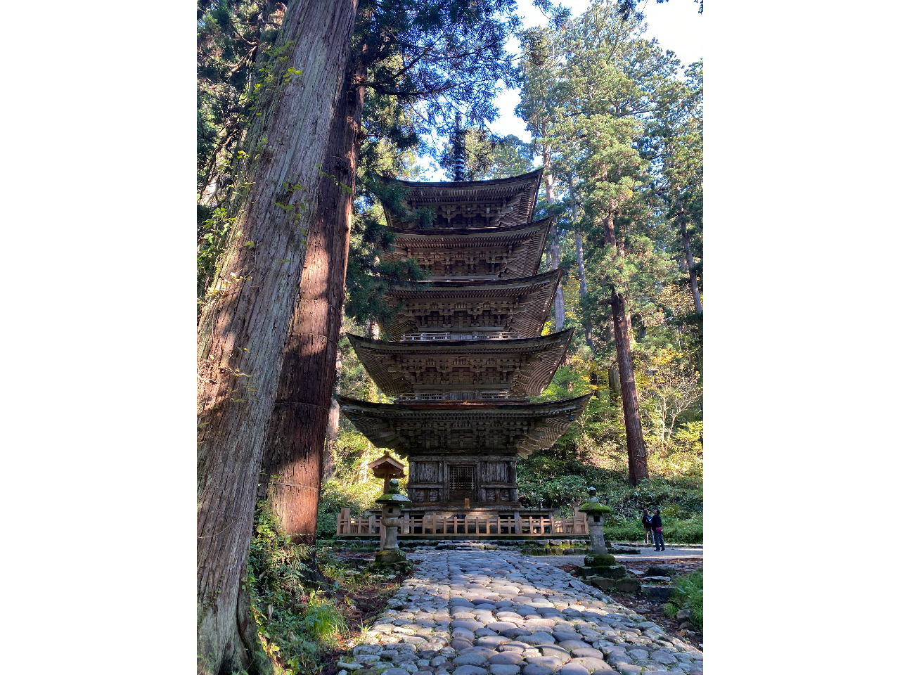 �߉��A�N�e�B�r�e�B�̎ʐ^4