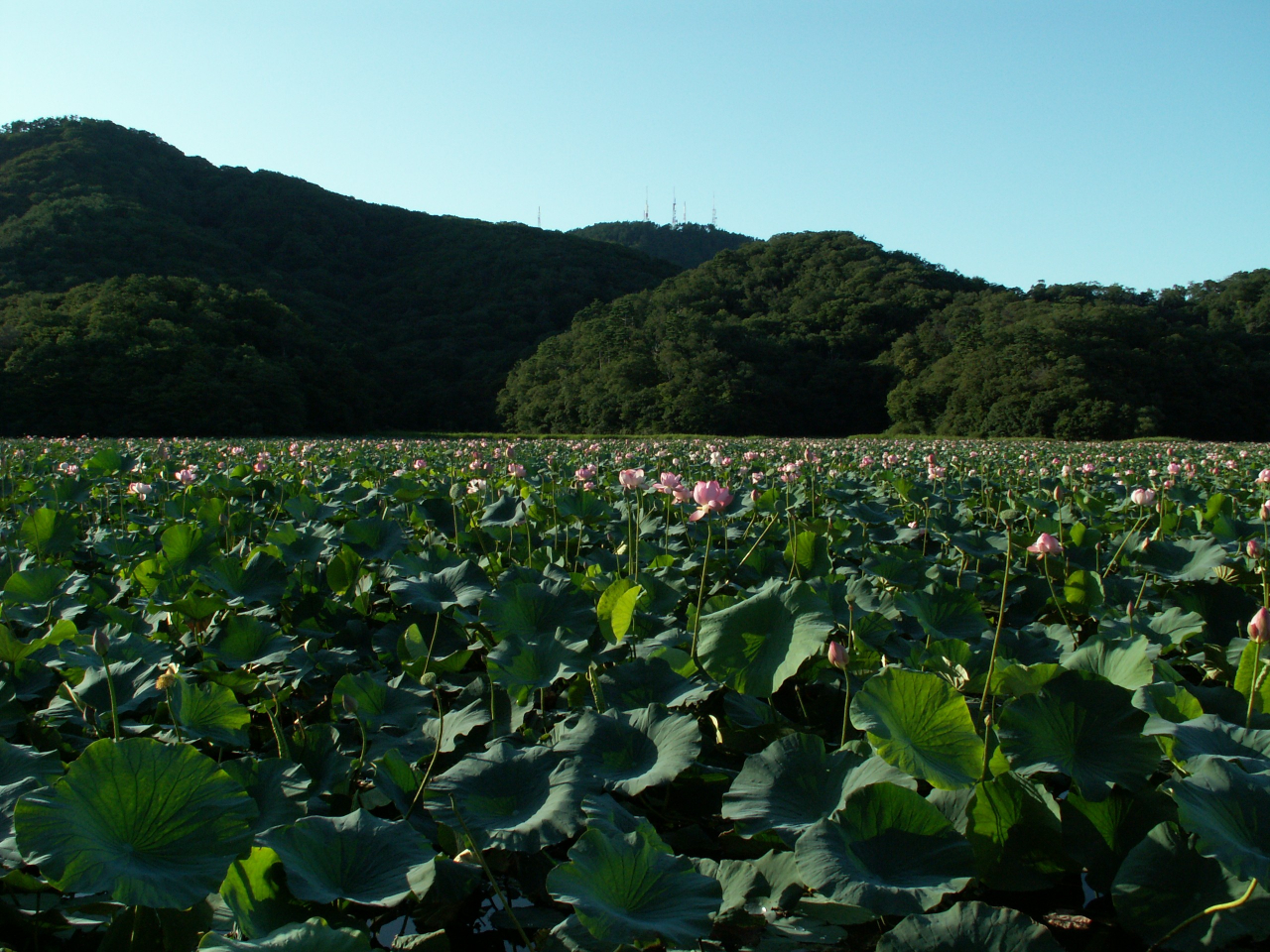 �߉��A�N�e�B�r�e�B�̎ʐ^2