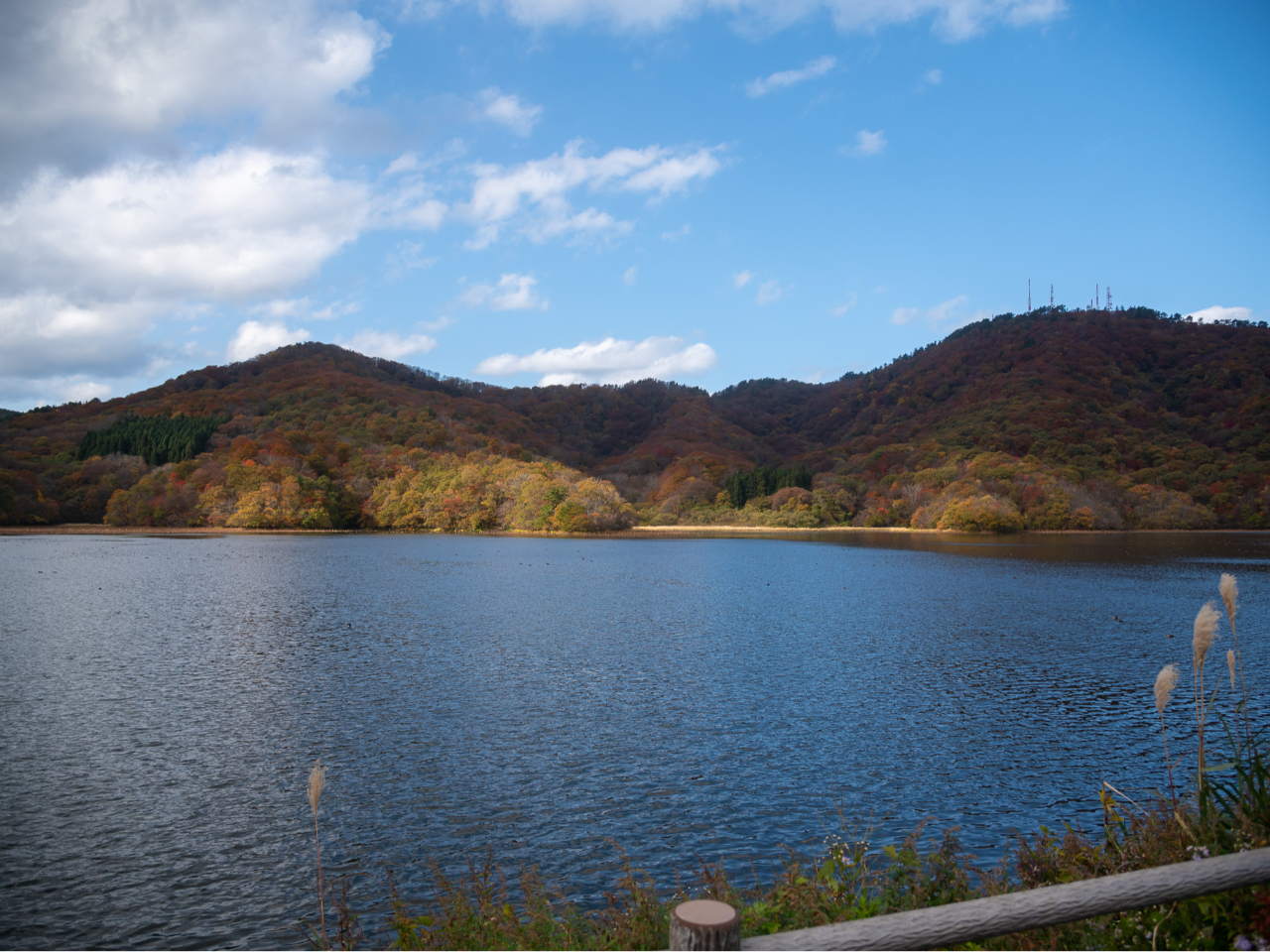 �߉��A�N�e�B�r�e�B�̎ʐ^3