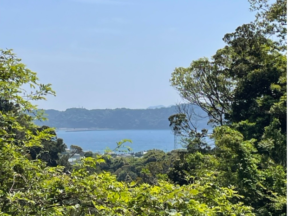 Yonder Mountain &amp;Sea�̎ʐ^3