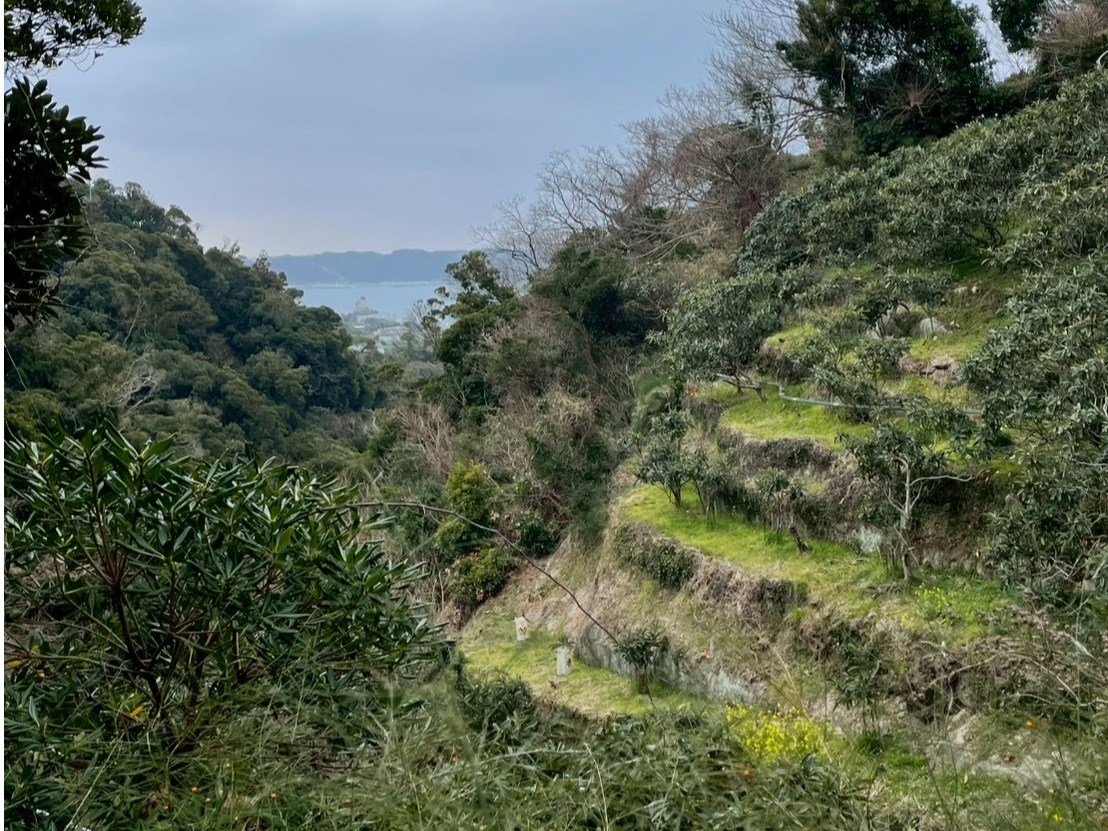 Yonder Mountain &amp;Sea�̎ʐ^4