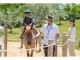 白老・ナチュの森で楽しむ馬とのふれあい体験