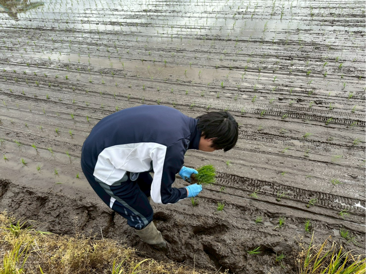 ☆今年初開催！5/9(土)限定☆【TX守谷駅・JR龍ケ崎市駅まで送迎無料/お