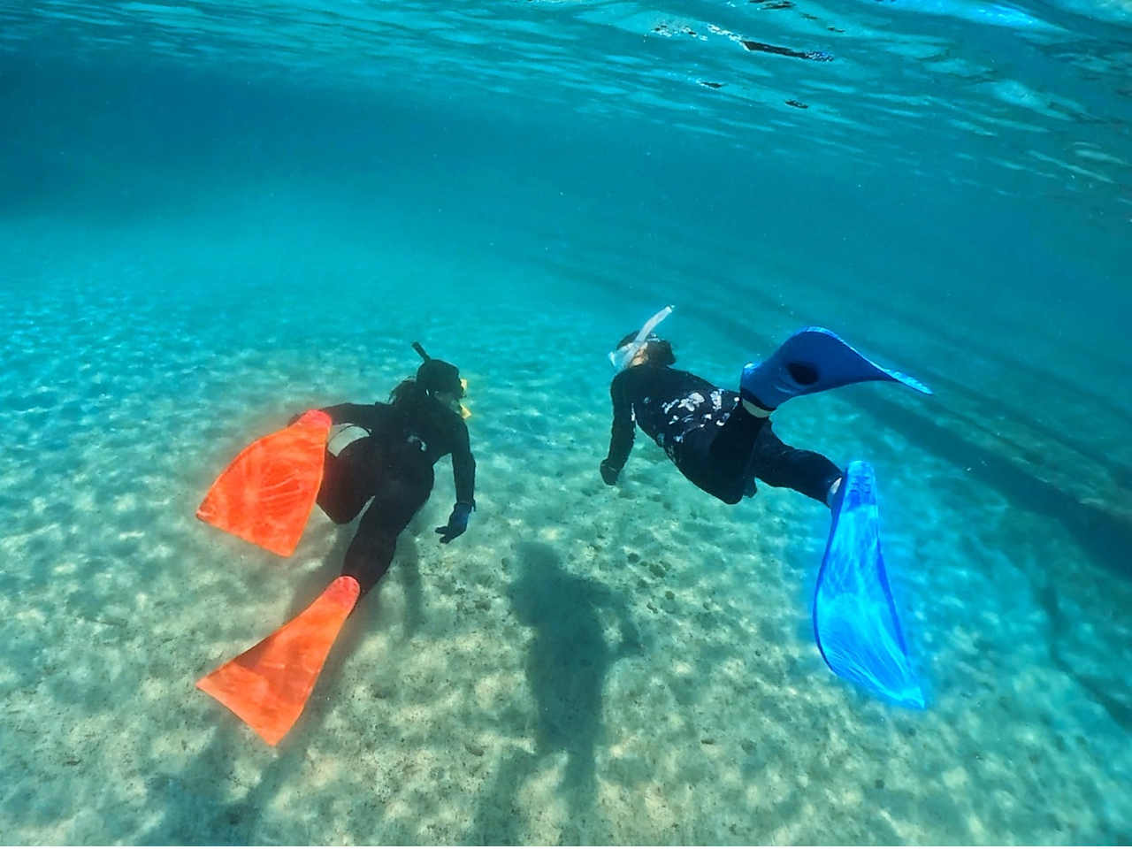 【静岡・伊東】伊豆の海を楽しむスキンダイビング体験《カップル・グループ・おひとり...