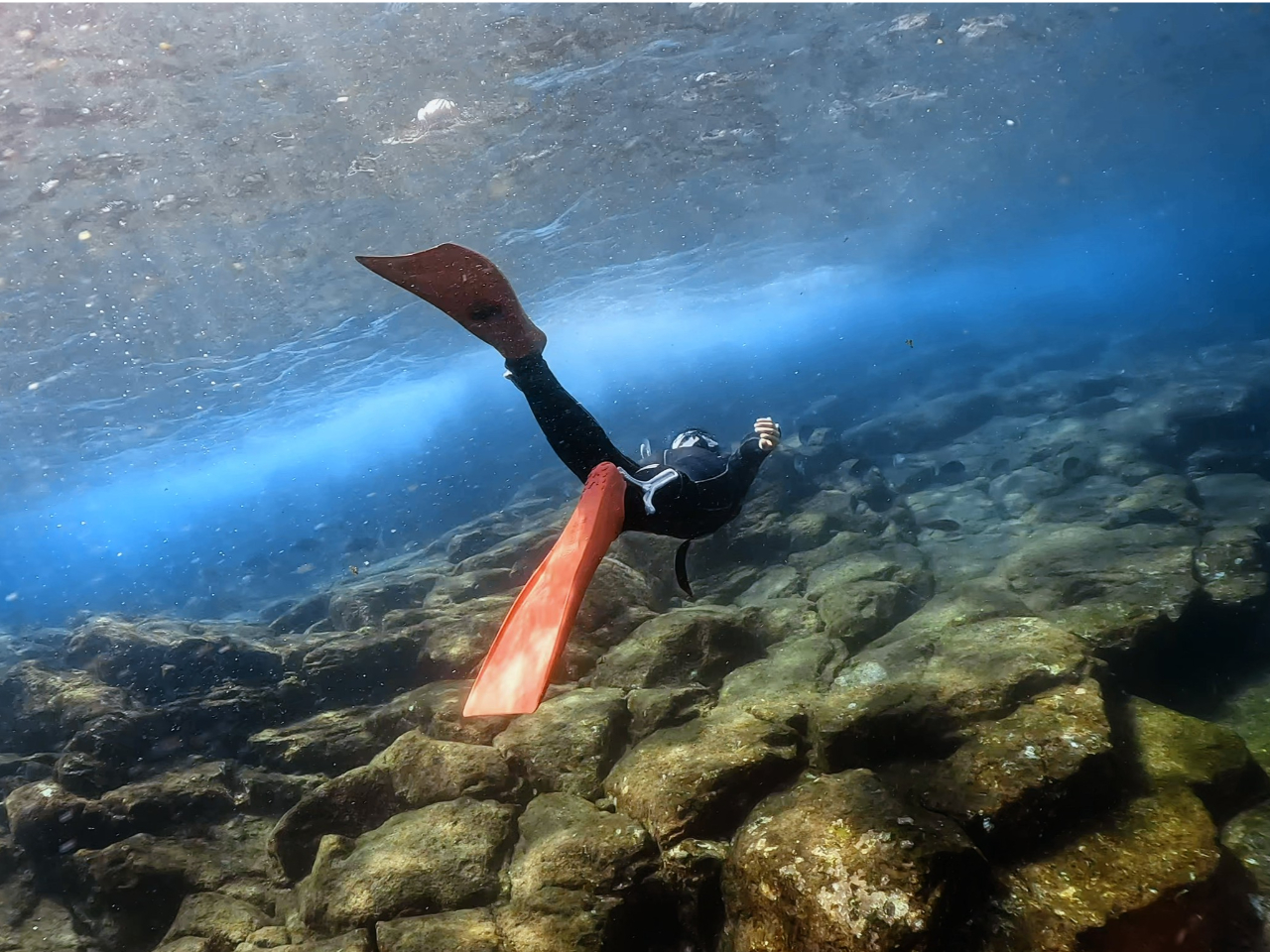【静岡・伊東】経験者向け伊豆スキンダイビング《レンタル込み・写真&動画プレゼント...