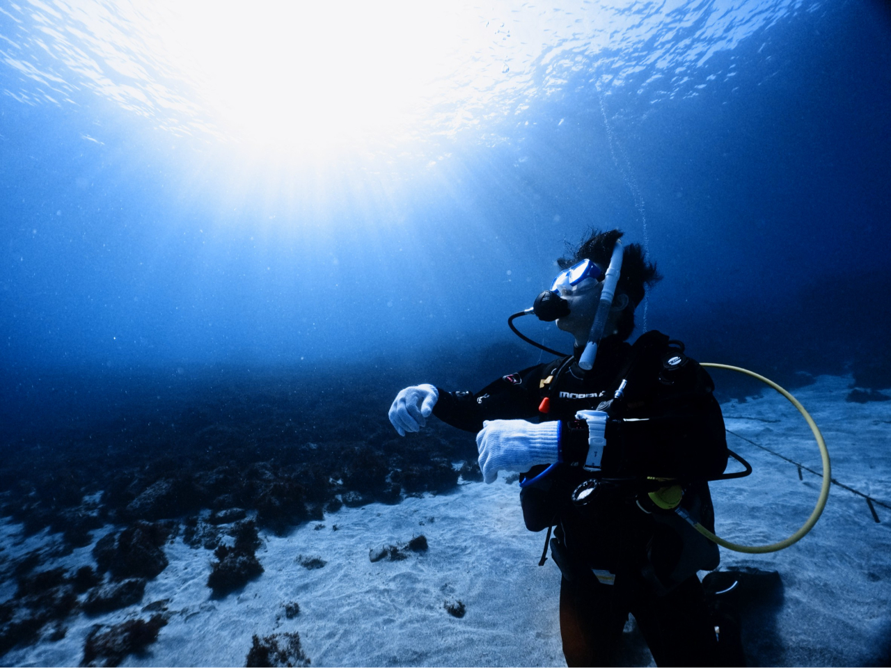 【静岡・伊東】伊豆の海を楽しむ体験ダイビング!初めてでも安心の一組貸し切りプラン...