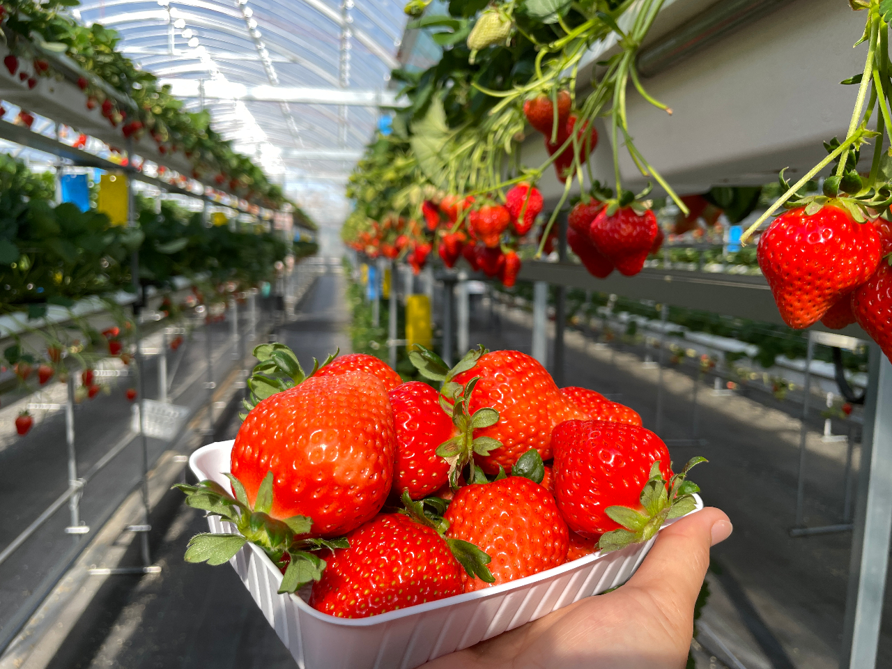 The Factory 15�̎ʐ^1