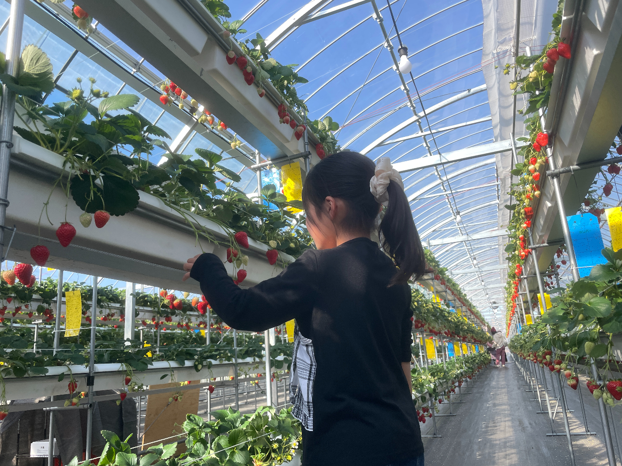 The Factory 15�̎ʐ^2