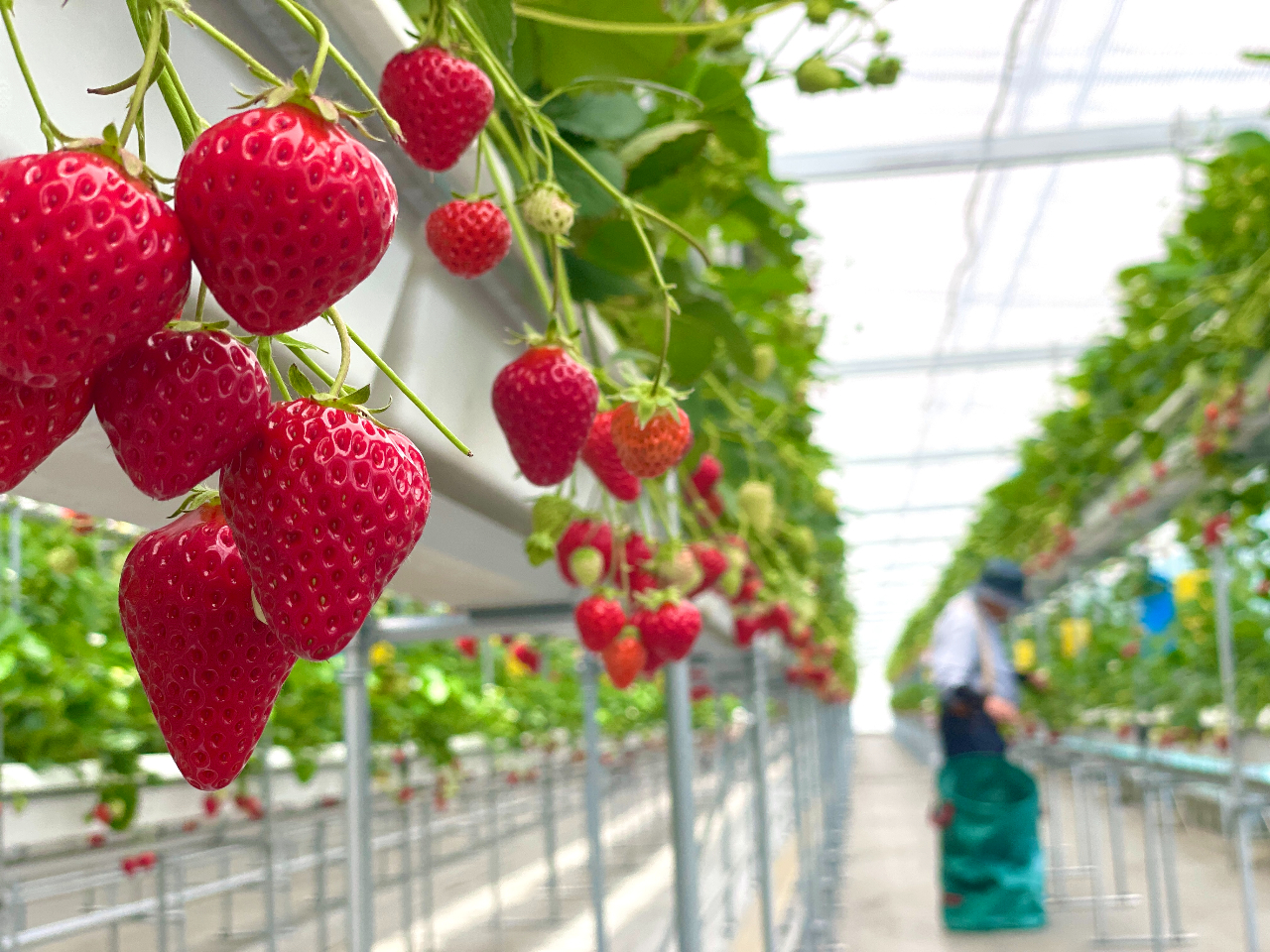 The Factory 15�̎ʐ^3