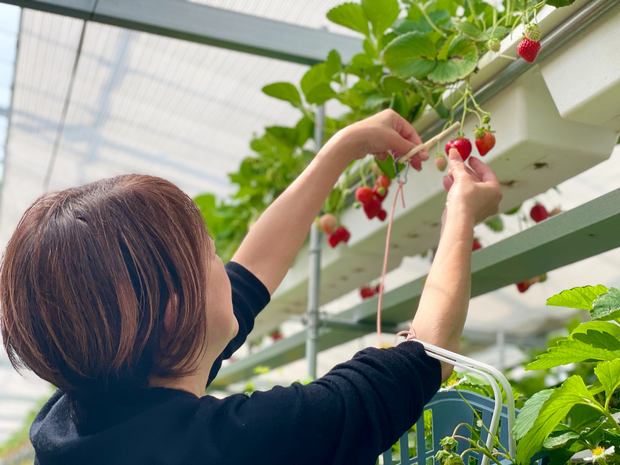 The Factory 15�̎ʐ^4